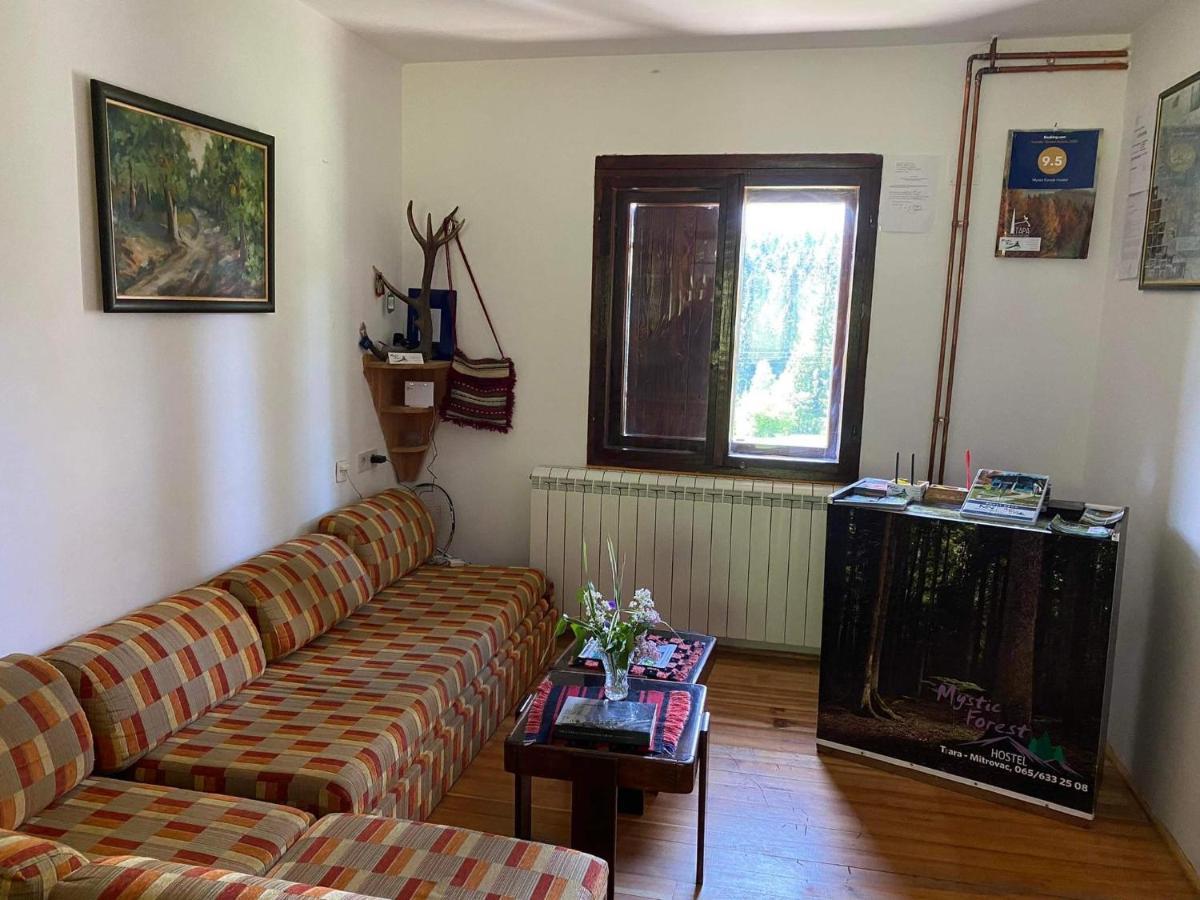 Mystic Forest Hostel Mitrovac Exteriér fotografie