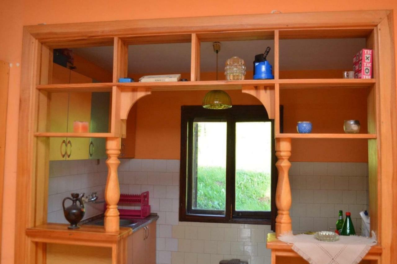Mystic Forest Hostel Mitrovac Exteriér fotografie